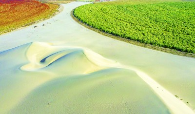 沙漠变绿洲:从25亩到17000亩 沙漠变绿洲:从25亩到17000亩