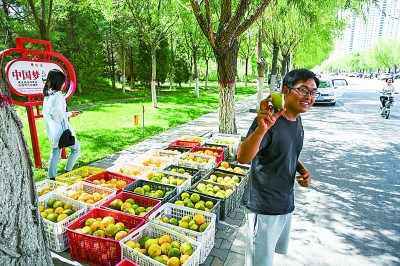 沙漠变绿洲:从25亩到17000亩 沙漠变绿洲:从25亩到17000亩